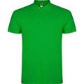 Heren Polo Star Roly PO6638 Grass Green